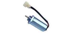 Electrica motor